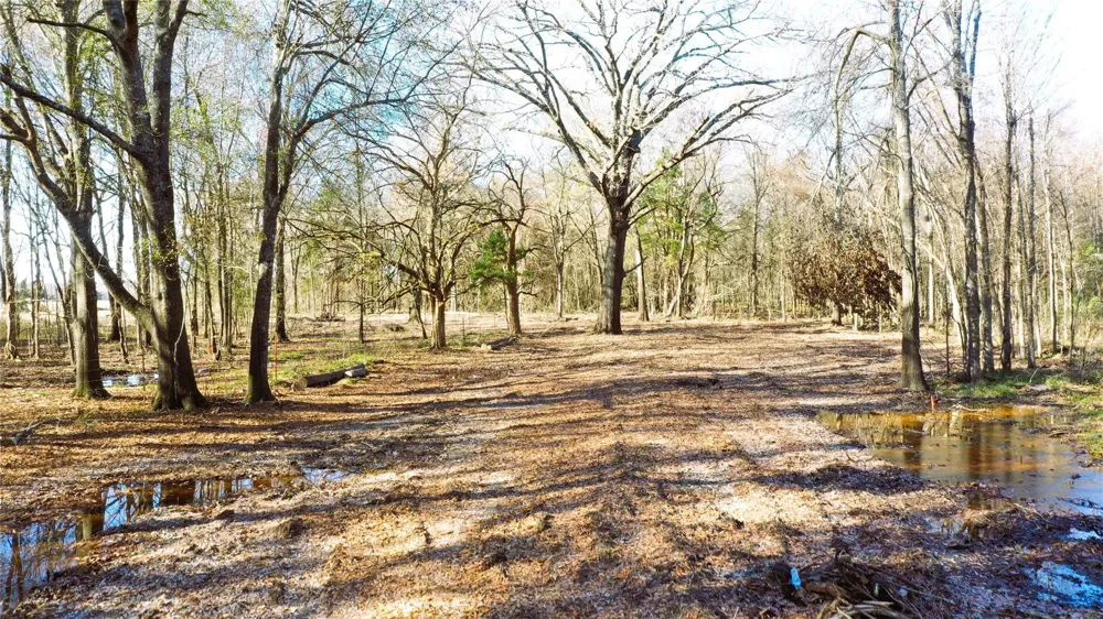 TBD Red River Arthur City, TX 75411