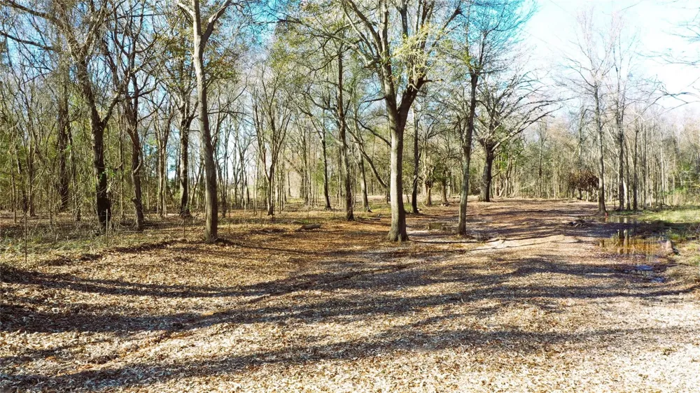 TBD Red River Arthur City, TX 75411