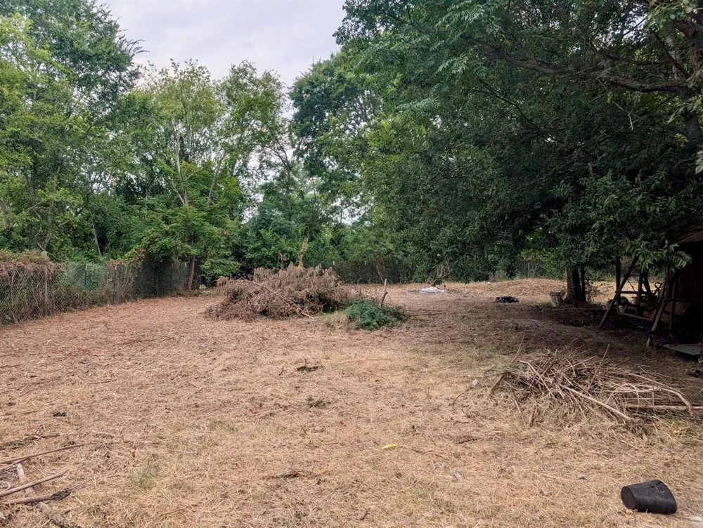 145 Morrow Street Trinity, TX 75862