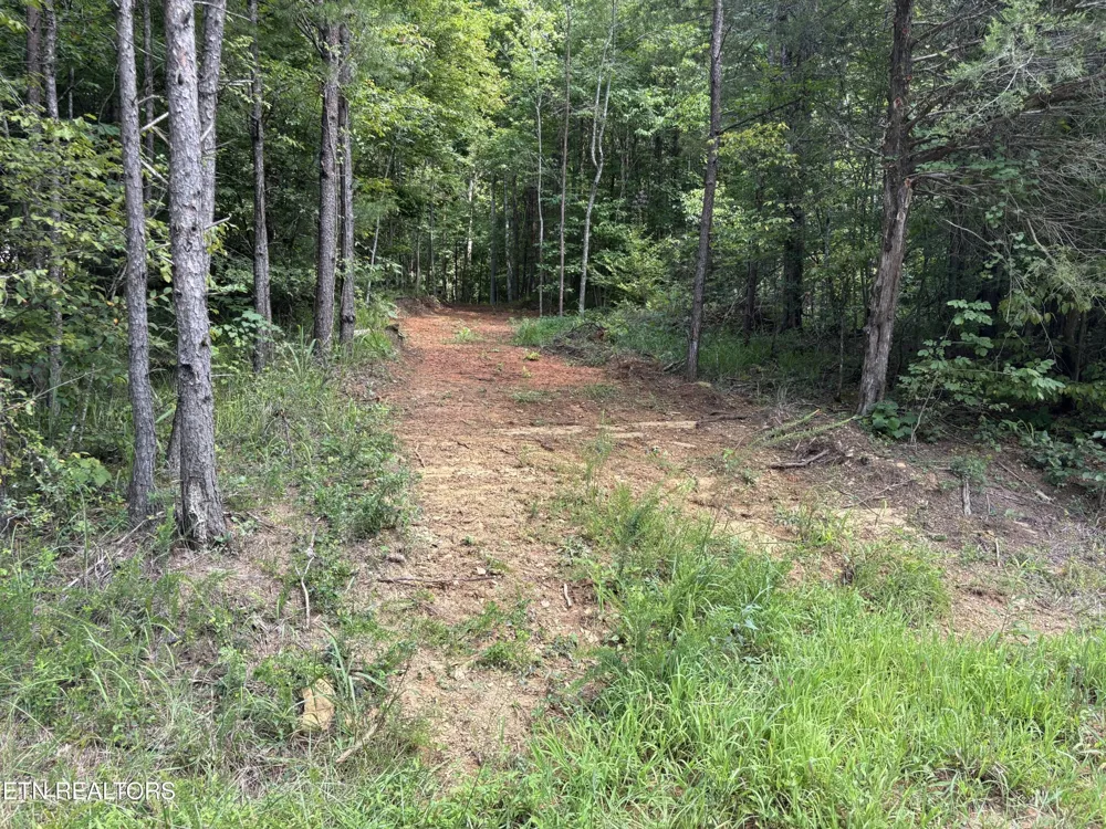 130 Tellico Camp Rd Madisonville, TN 37354