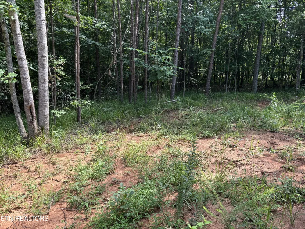 130 Tellico Camp Rd Madisonville, TN 37354