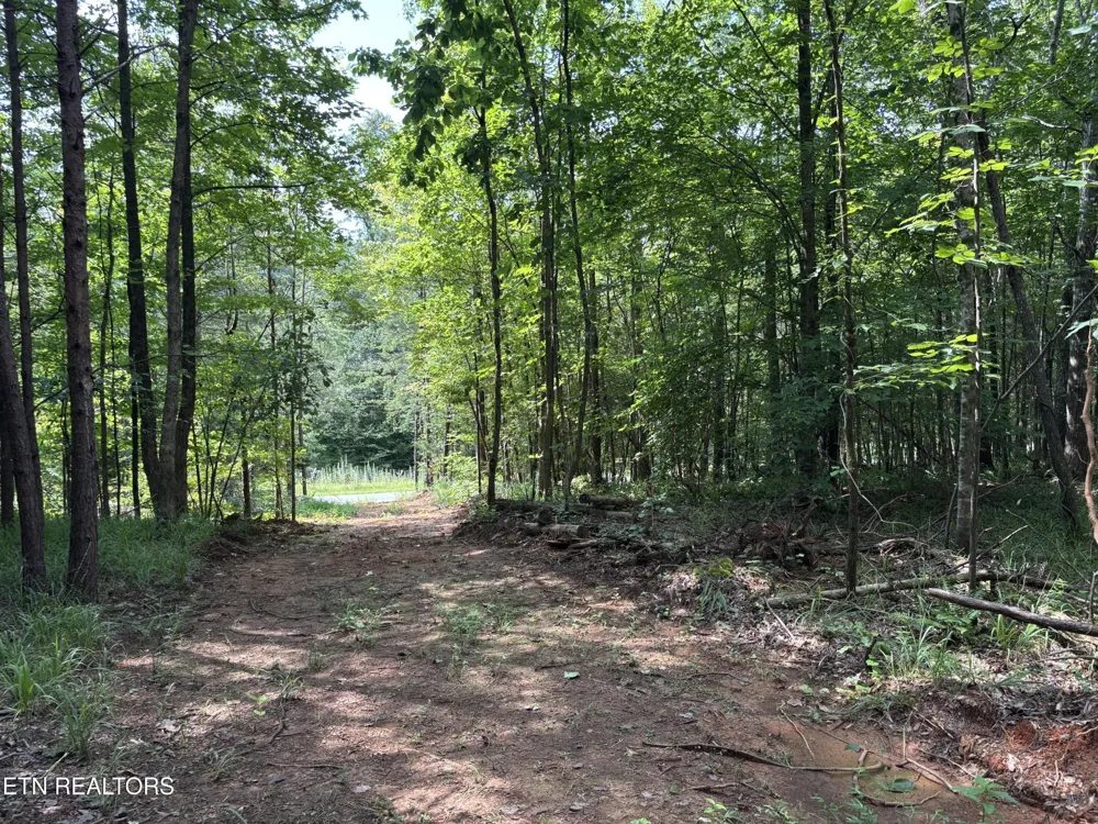 130 Tellico Camp Rd Madisonville, TN 37354