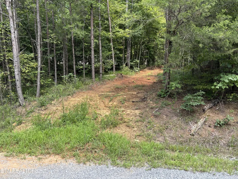 130 Tellico Camp Rd Madisonville, TN 37354