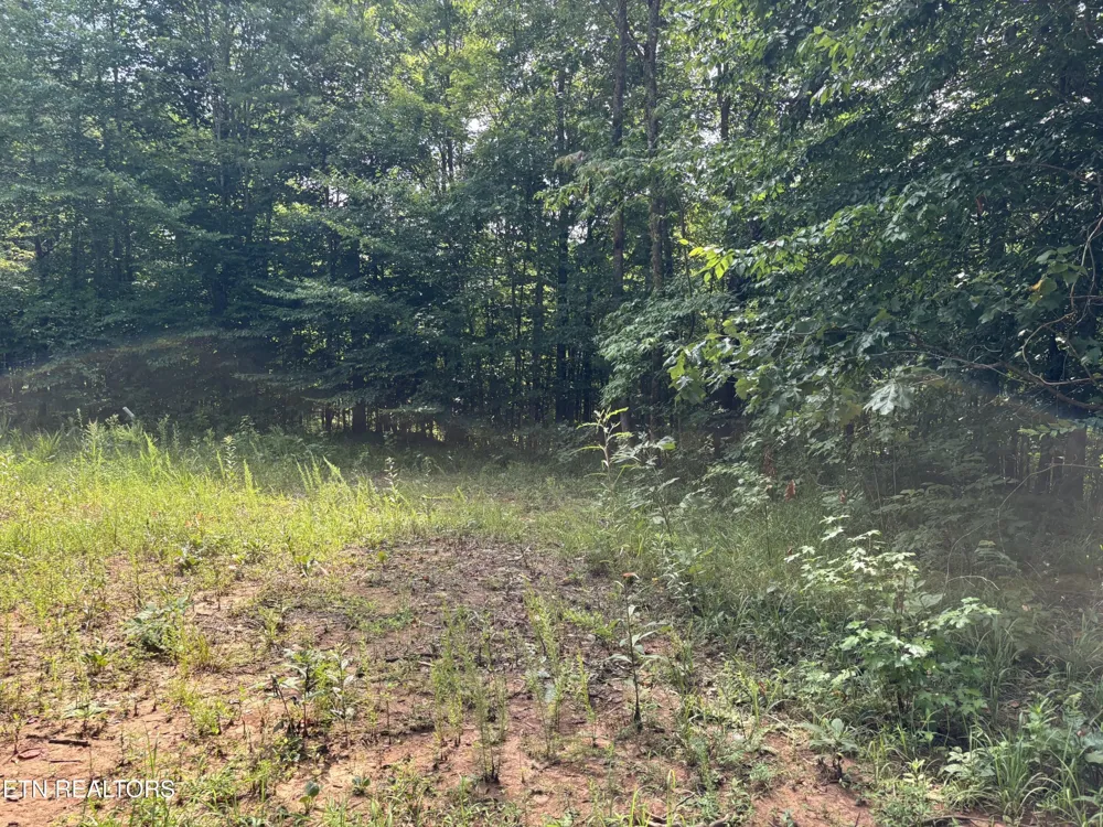 130 Tellico Camp Rd Madisonville, TN 37354