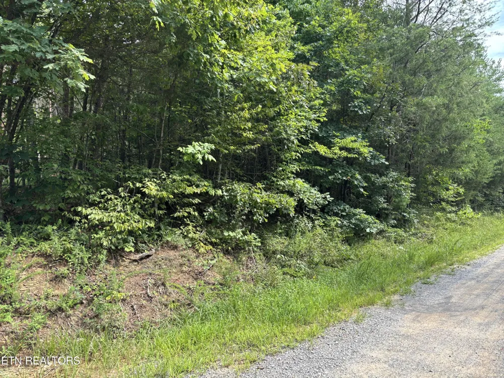 130 Tellico Camp Rd Madisonville, TN 37354