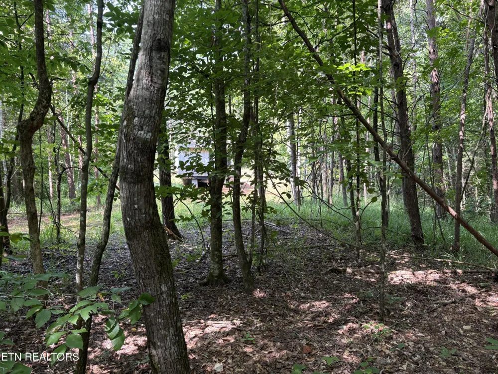 130 Tellico Camp Rd Madisonville, TN 37354