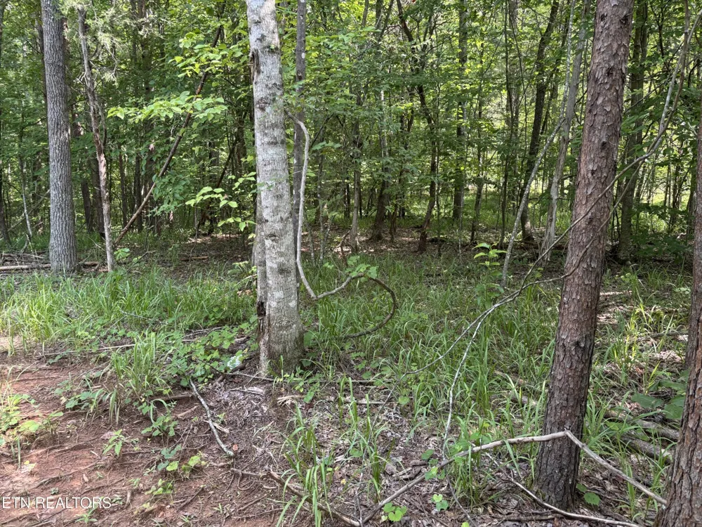 130 Tellico Camp Rd Madisonville, TN 37354