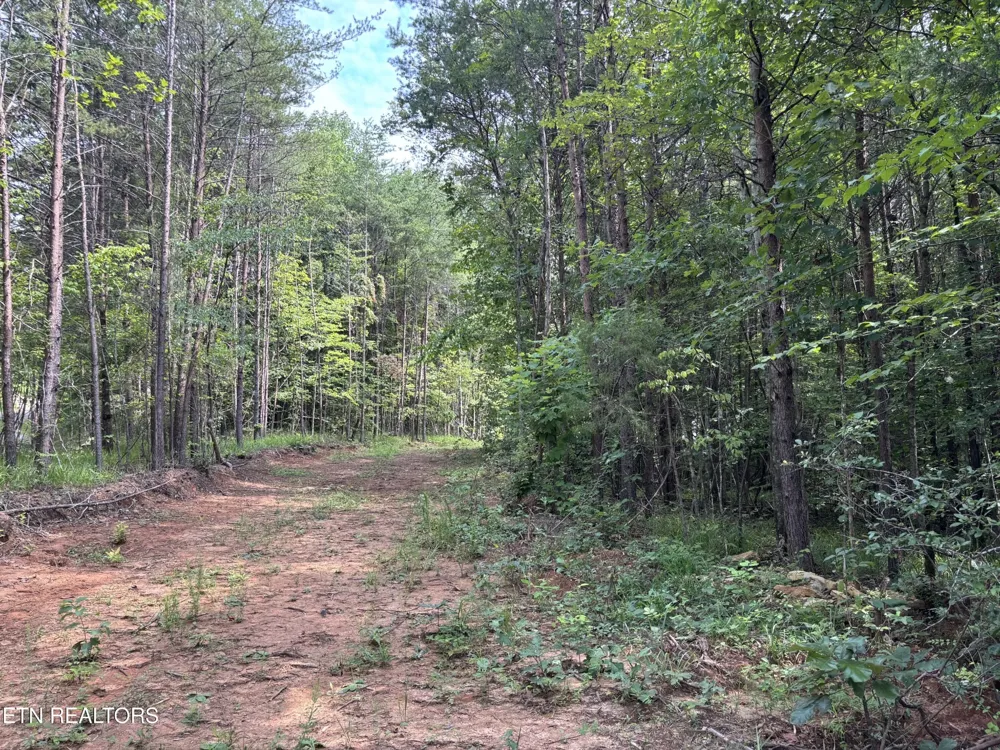 130 Tellico Camp Rd Madisonville, TN 37354
