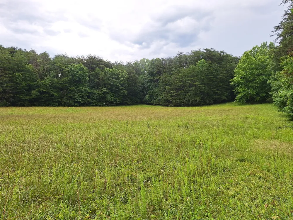 146 Sparkmantown Rd Rock Island, TN 38581