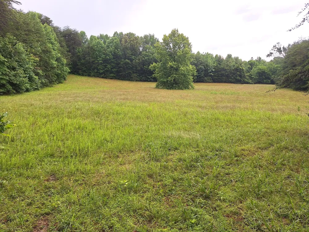 146 Sparkmantown Rd Rock Island, TN 38581