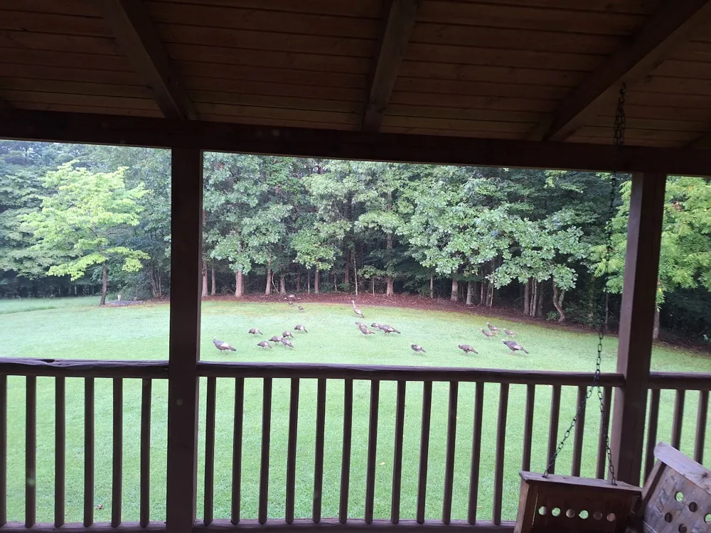 146 Sparkmantown Rd Rock Island, TN 38581