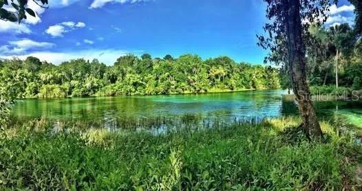 9251 SW 192ND COURT Dunnellon, FL 34432