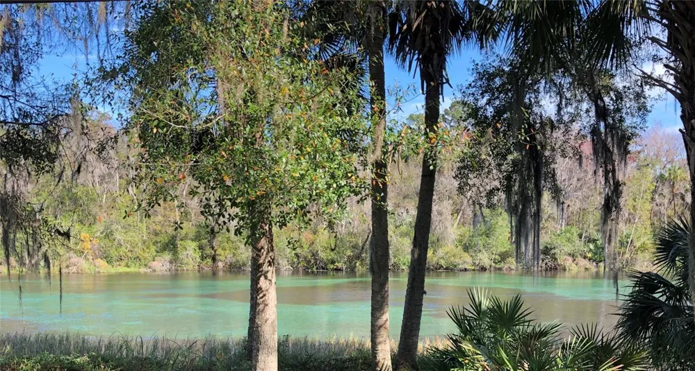 9251 SW 192ND COURT Dunnellon, FL 34432