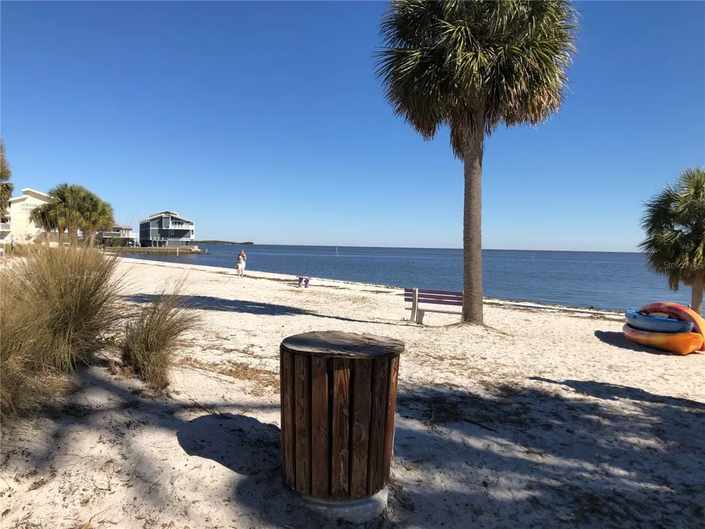 9251 SW 192ND COURT Dunnellon, FL 34432