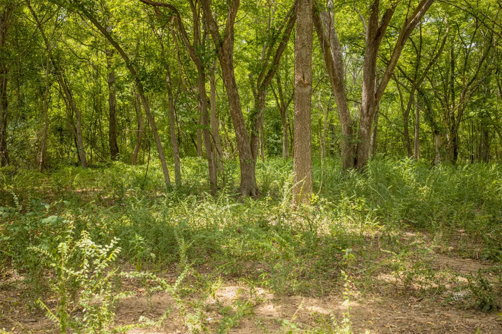 1 Oklahoma Avenue Okmulgee, OK 74447