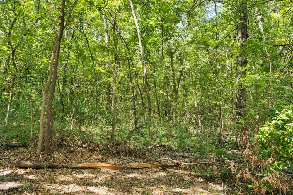 1 Oklahoma Avenue Okmulgee, OK 74447