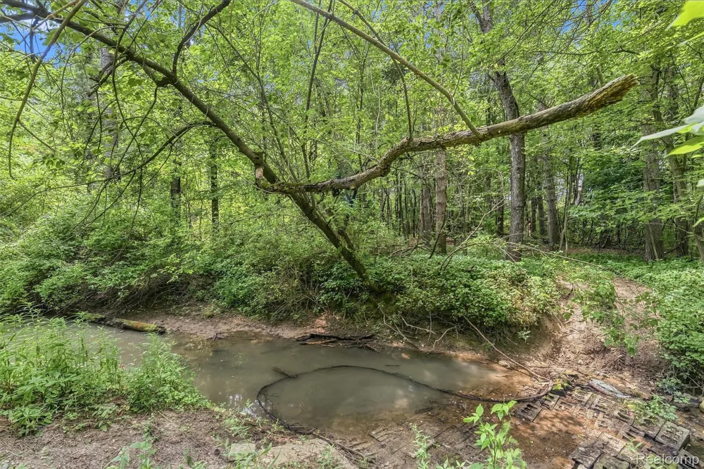 6163 State Road Richfield Township, MI 48423