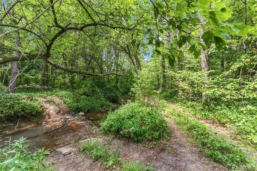 6163 State Road Richfield Township, MI 48423