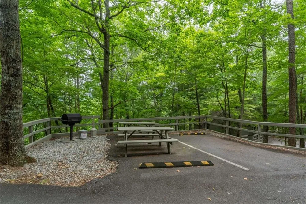 135 Wolfscratch Drive Big Canoe, GA 30143