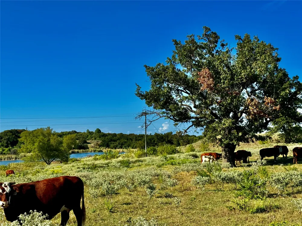 Addington Bend Street Marietta, OK 73448