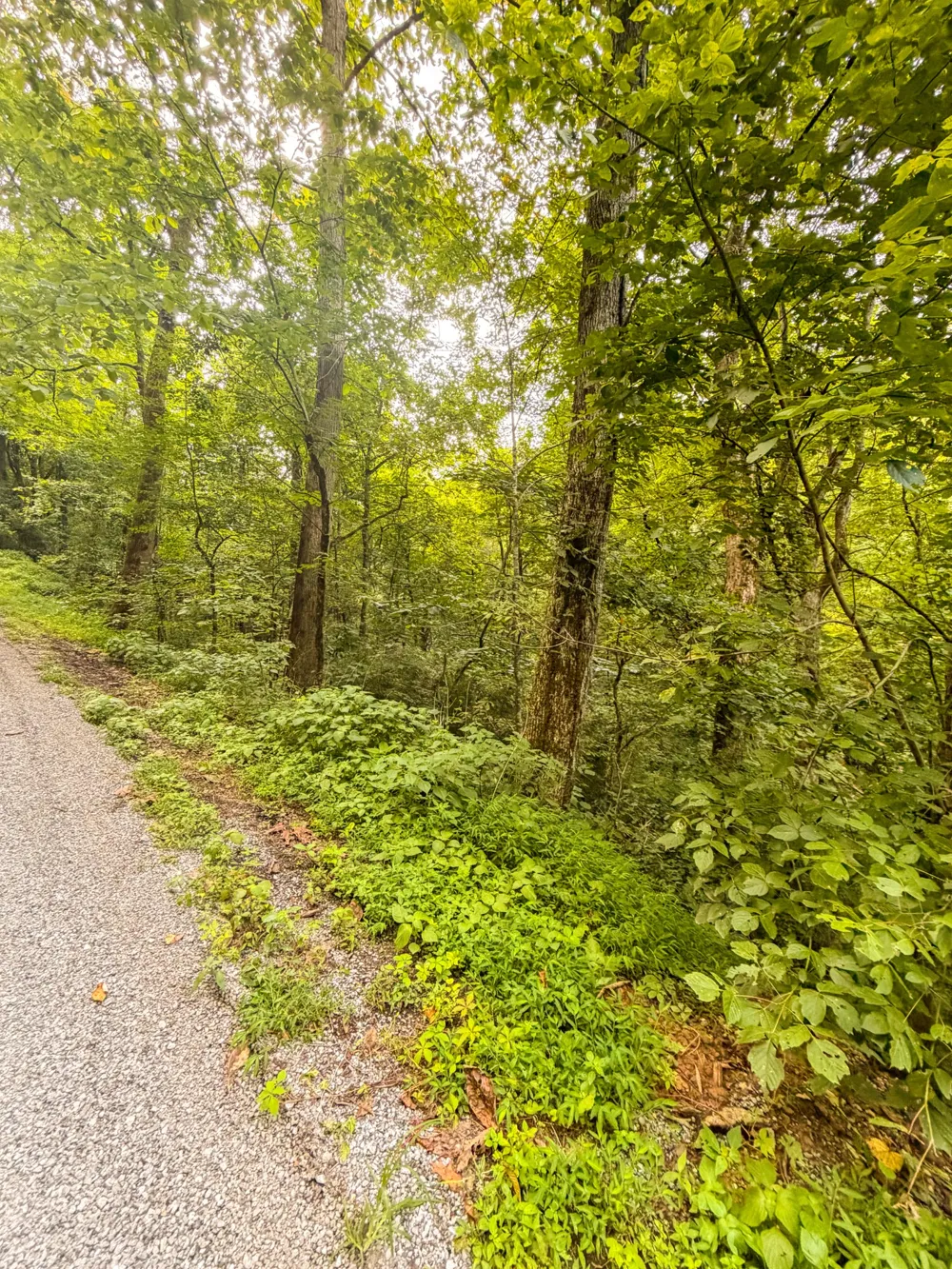 0 Holiday Haven Rd Smithville, TN 37166