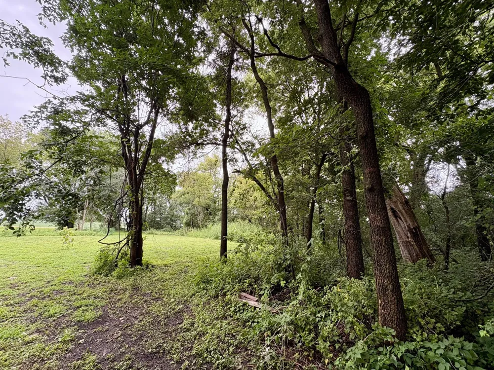 20XXX 160th Street Hutchinson, MN 55350