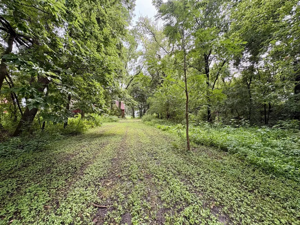 20XXX 160th Street Hutchinson, MN 55350