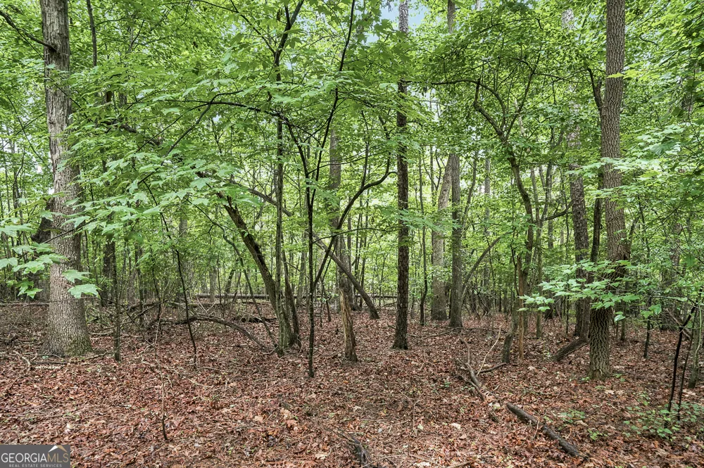LOT 58 Red Bud LN Ellijay, GA 30540