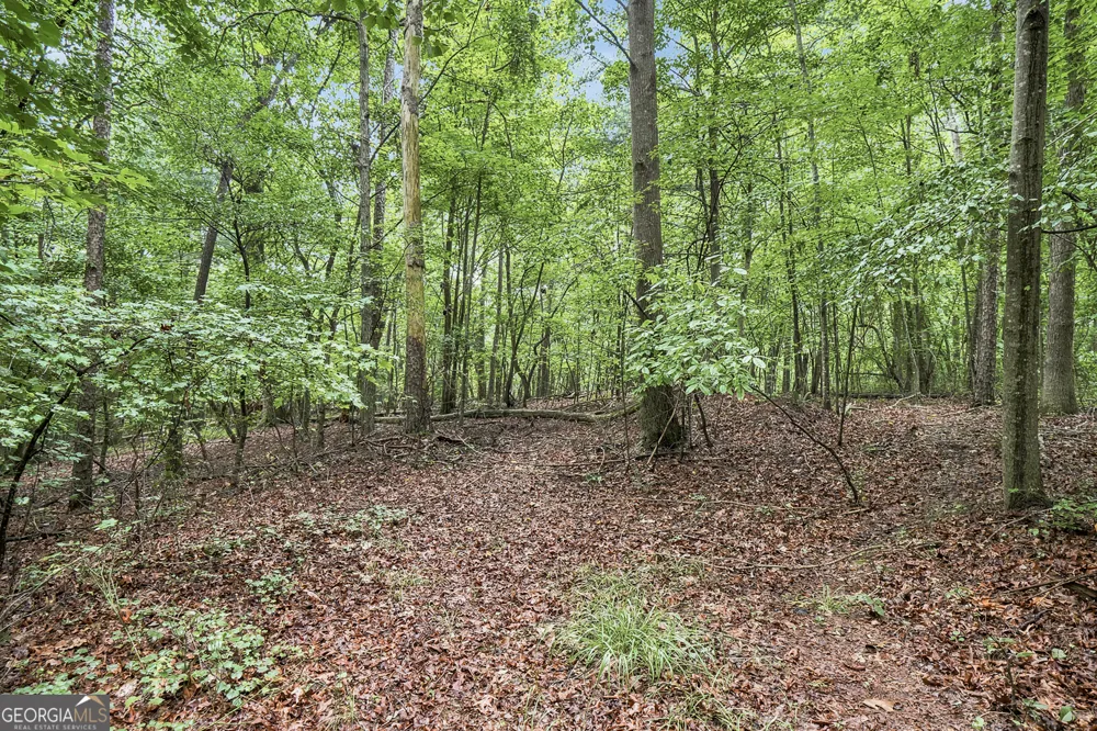 LOT 58 Red Bud LN Ellijay, GA 30540