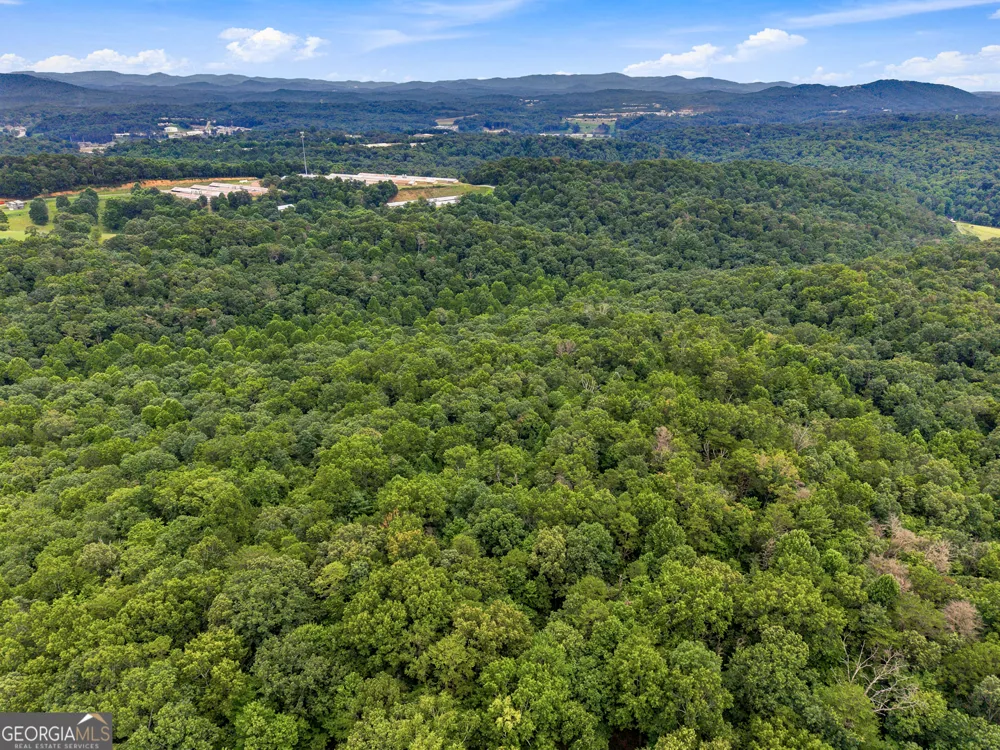 LOT 58 Red Bud LN Ellijay, GA 30540
