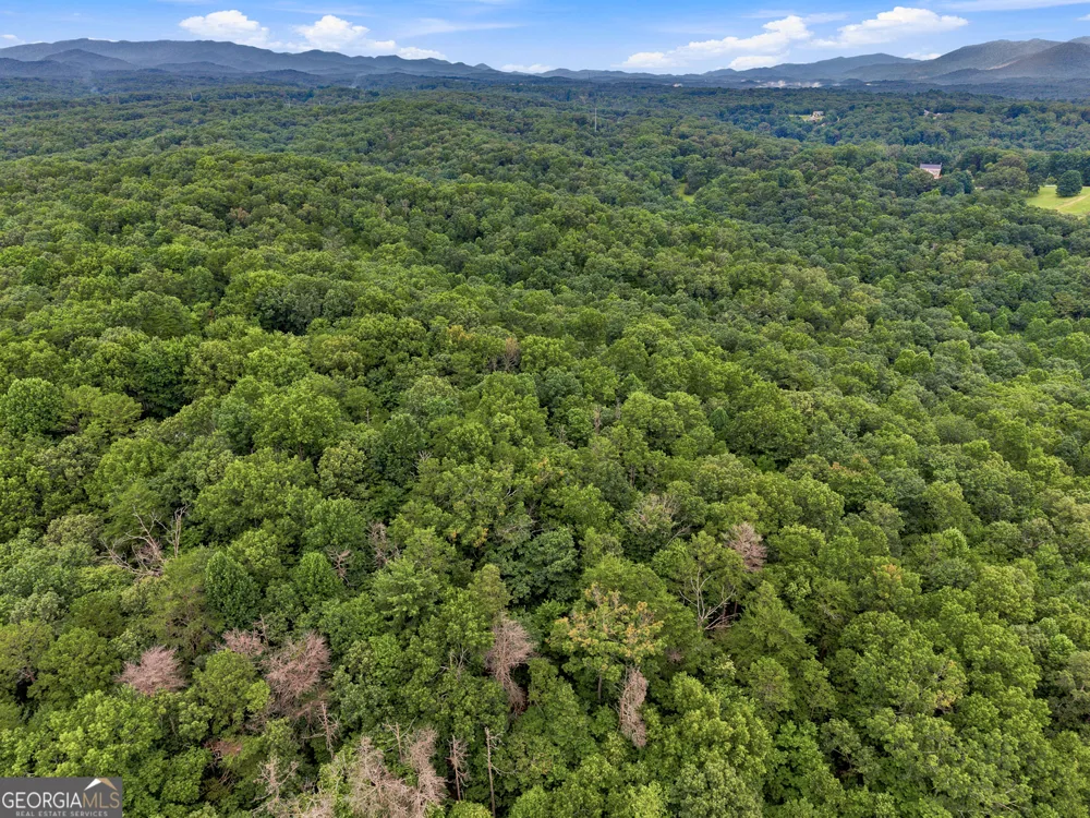 LOT 58 Red Bud LN Ellijay, GA 30540
