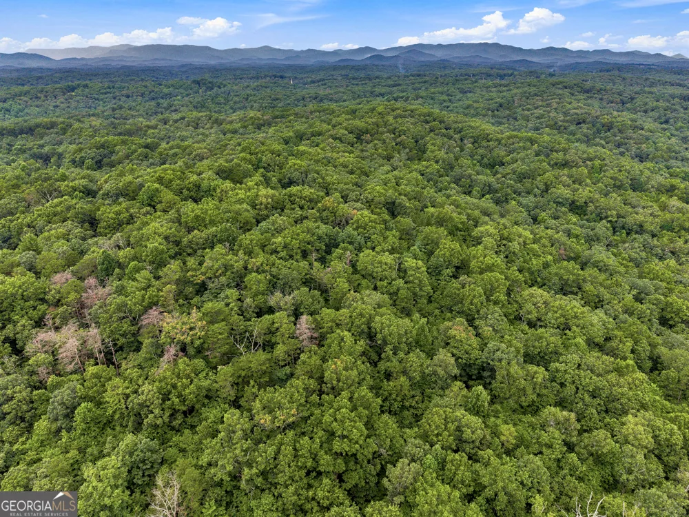 LOT 58 Red Bud LN Ellijay, GA 30540