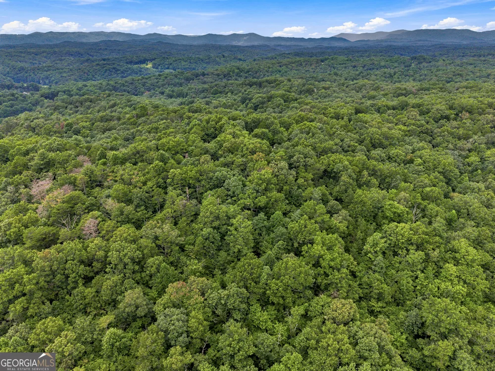 LOT 58 Red Bud LN Ellijay, GA 30540
