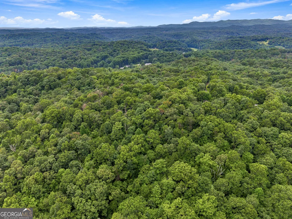 LOT 58 Red Bud LN Ellijay, GA 30540