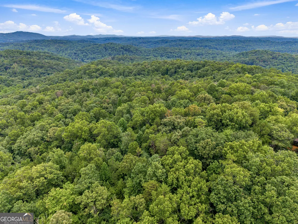 LOT 58 Red Bud LN Ellijay, GA 30540