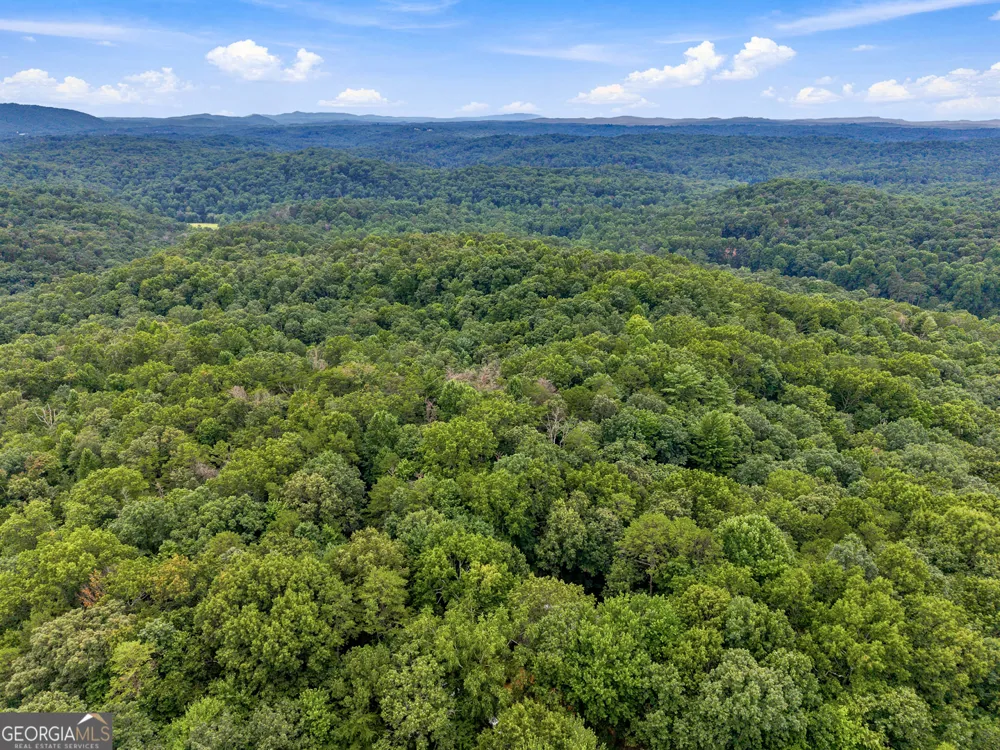 LOT 58 Red Bud LN Ellijay, GA 30540
