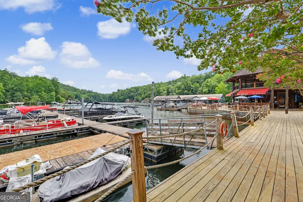 60 Cove View LN Clarkesville, GA 30523