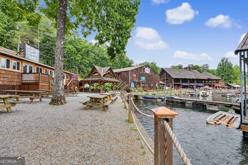 60 Cove View LN Clarkesville, GA 30523