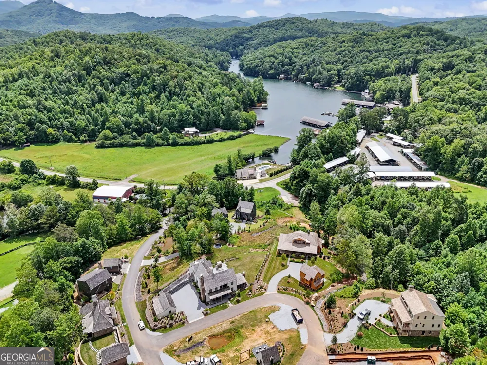 60 Cove View LN Clarkesville, GA 30523