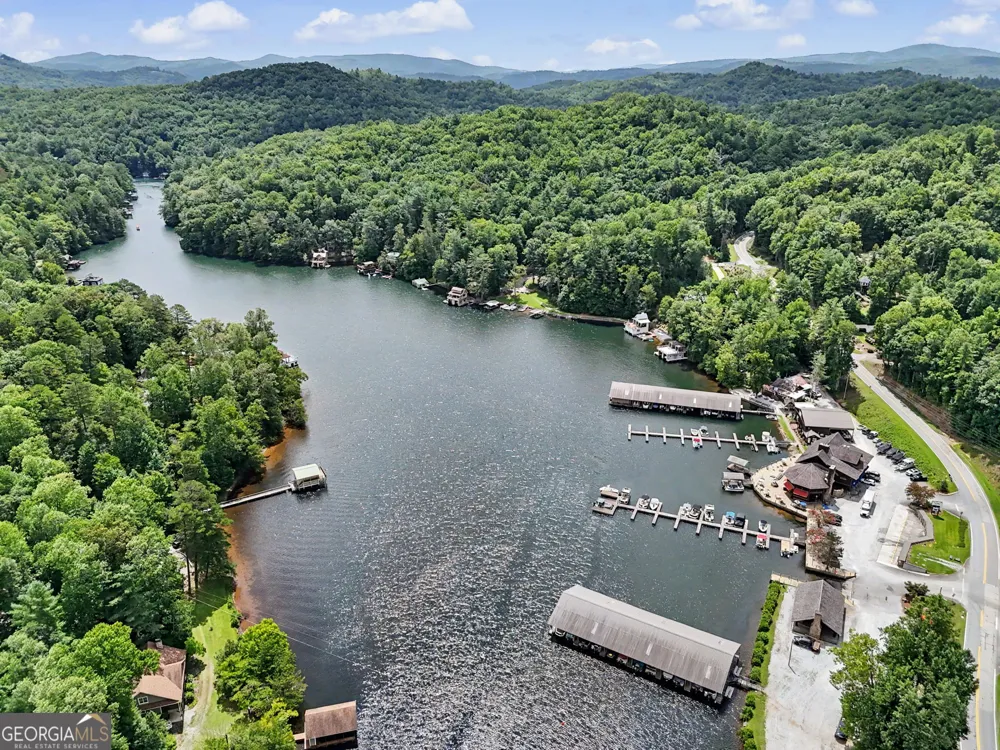 60 Cove View LN Clarkesville, GA 30523