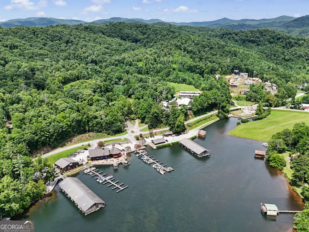 60 Cove View LN Clarkesville, GA 30523