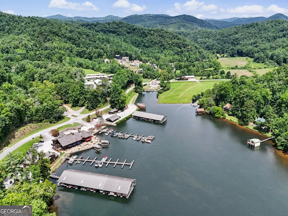 60 Cove View LN Clarkesville, GA 30523