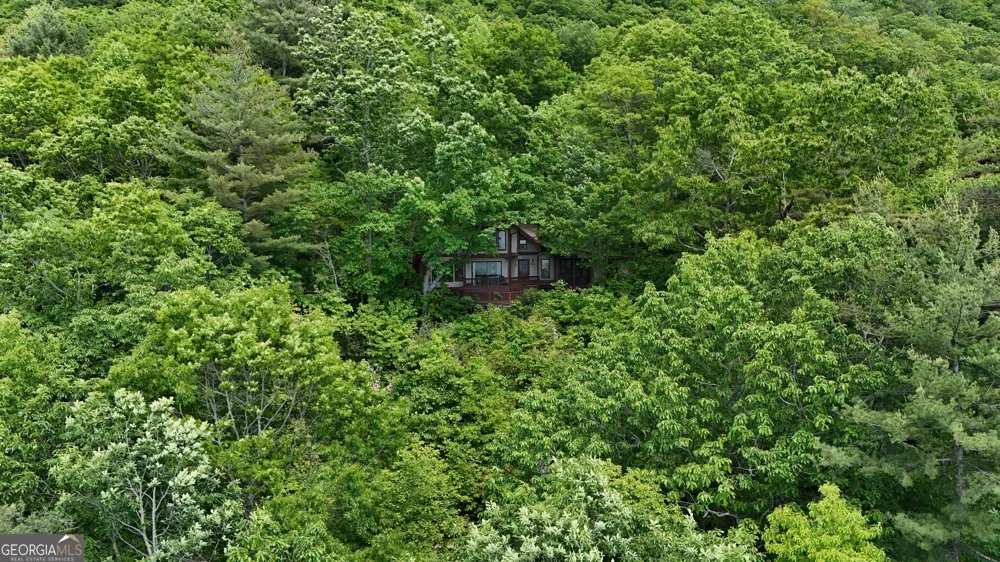 1491 Black Branch RD Rabun Gap, GA 30568
