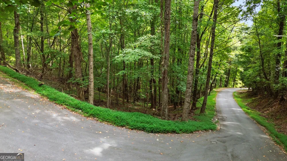 0 Sal Mountain WAY Sautee Nacoochee, GA 30571