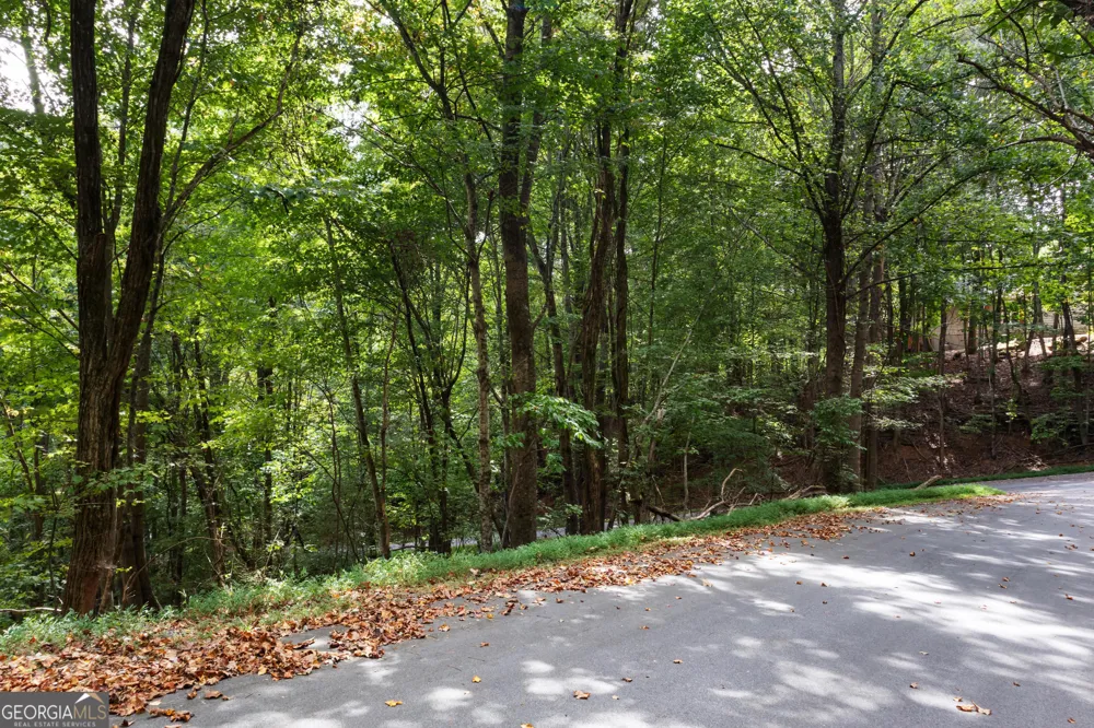 0 Sal Mountain WAY Sautee Nacoochee, GA 30571