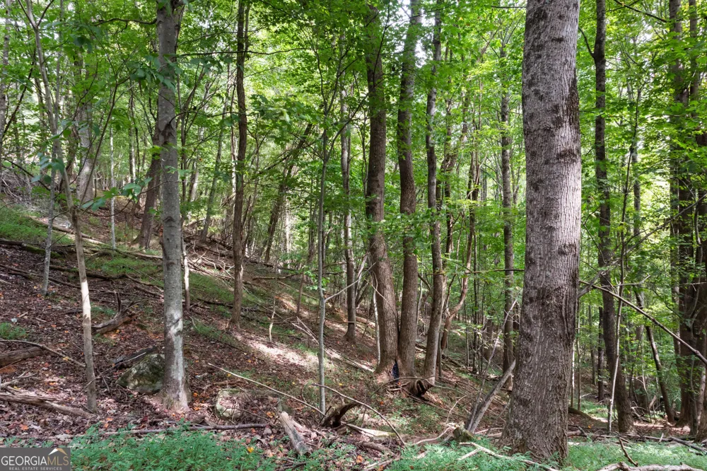 0 Sal Mountain WAY Sautee Nacoochee, GA 30571