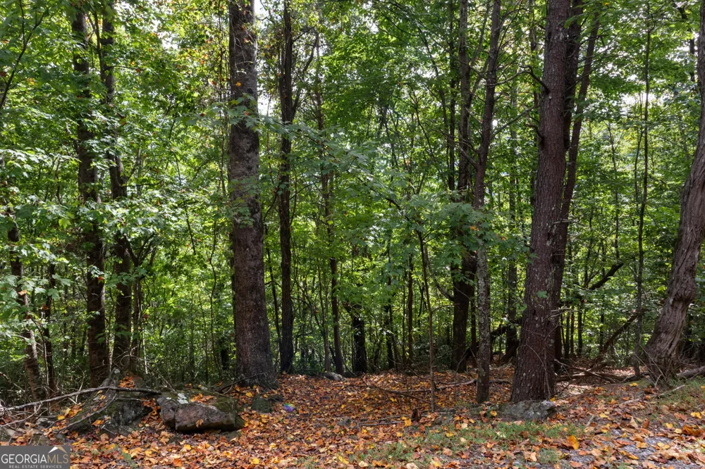 0 Sal Mountain WAY Sautee Nacoochee, GA 30571