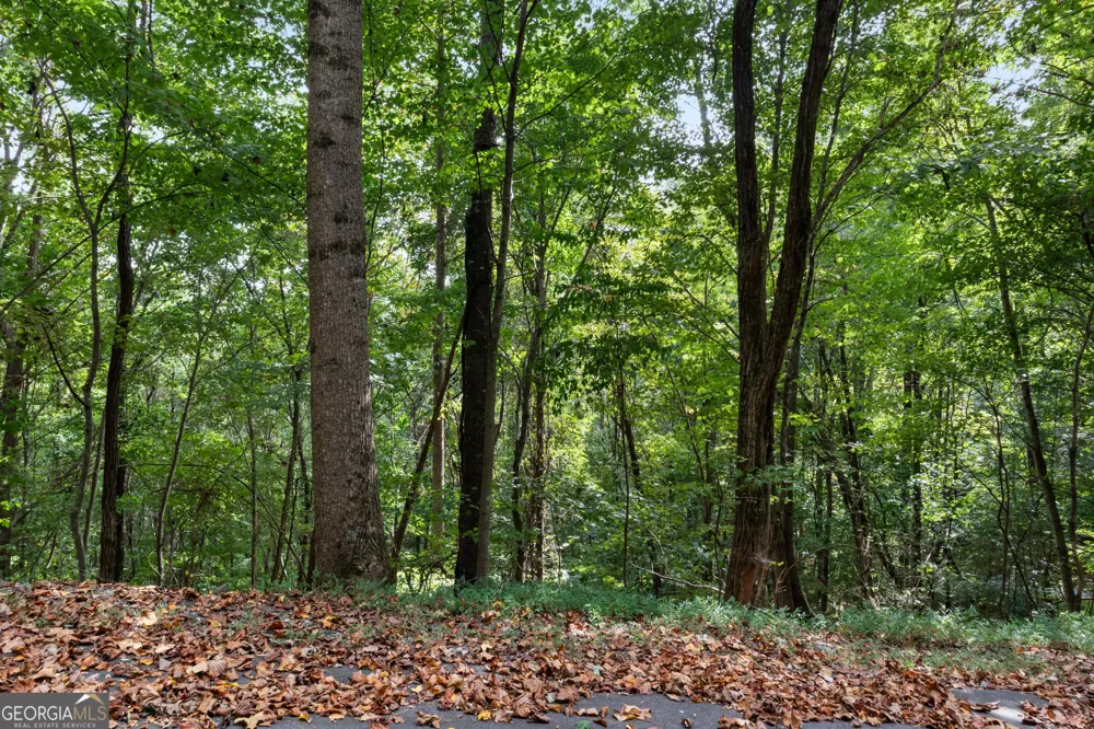 0 Sal Mountain WAY Sautee Nacoochee, GA 30571