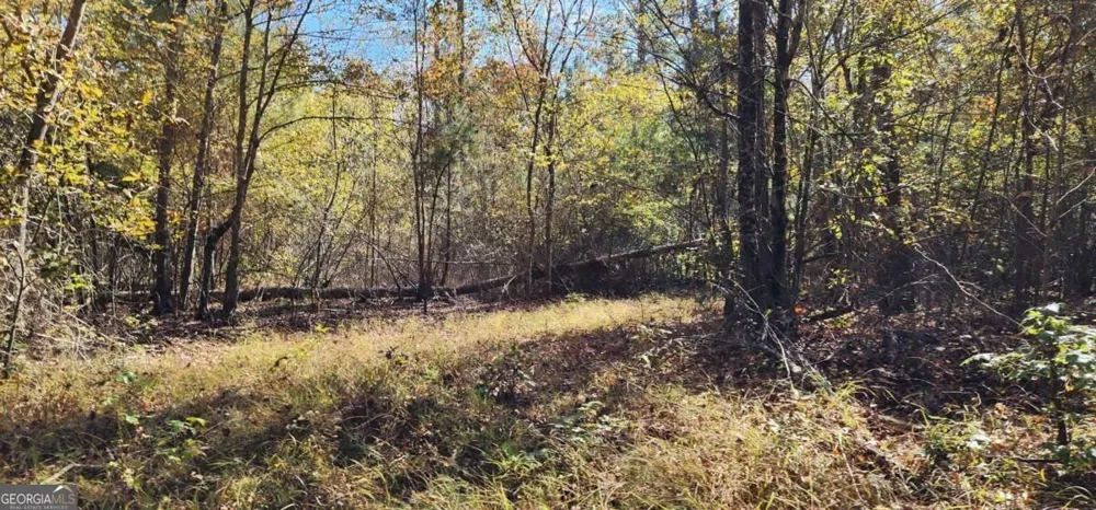0 Hwy 411 Rome, GA 30161