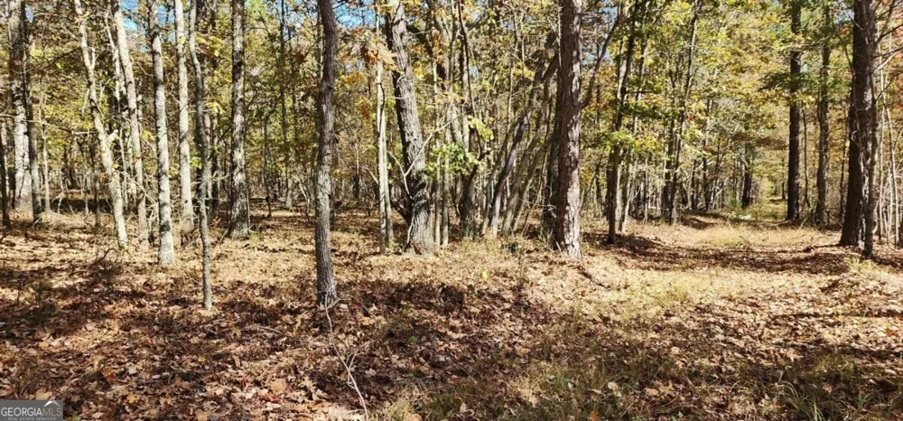 0 Hwy 411 Rome, GA 30161